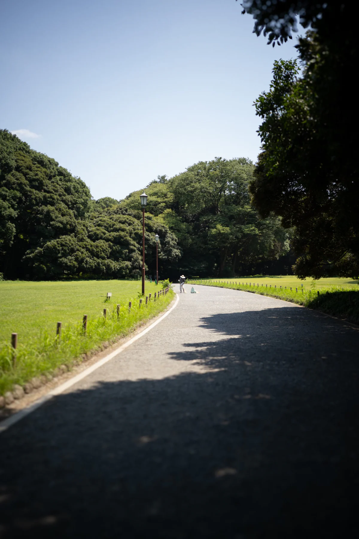 Park path