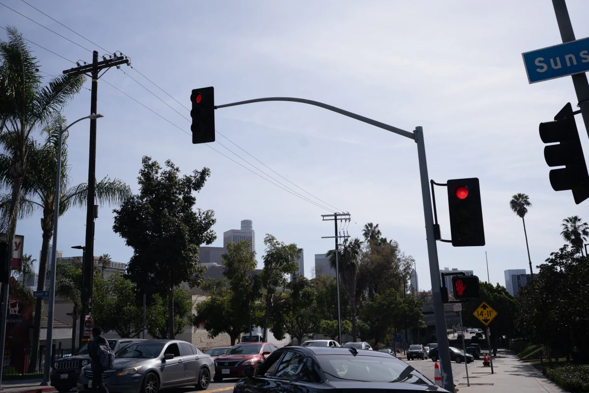 Traffic lights and palms